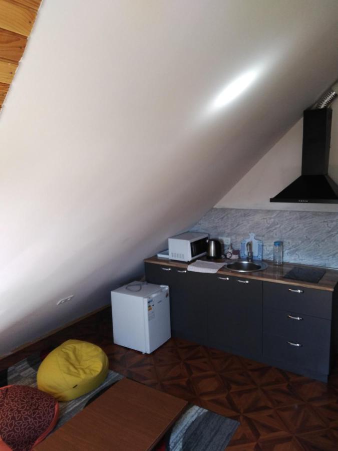 Family Hotel Mtamta Гудаури Экстерьер фото