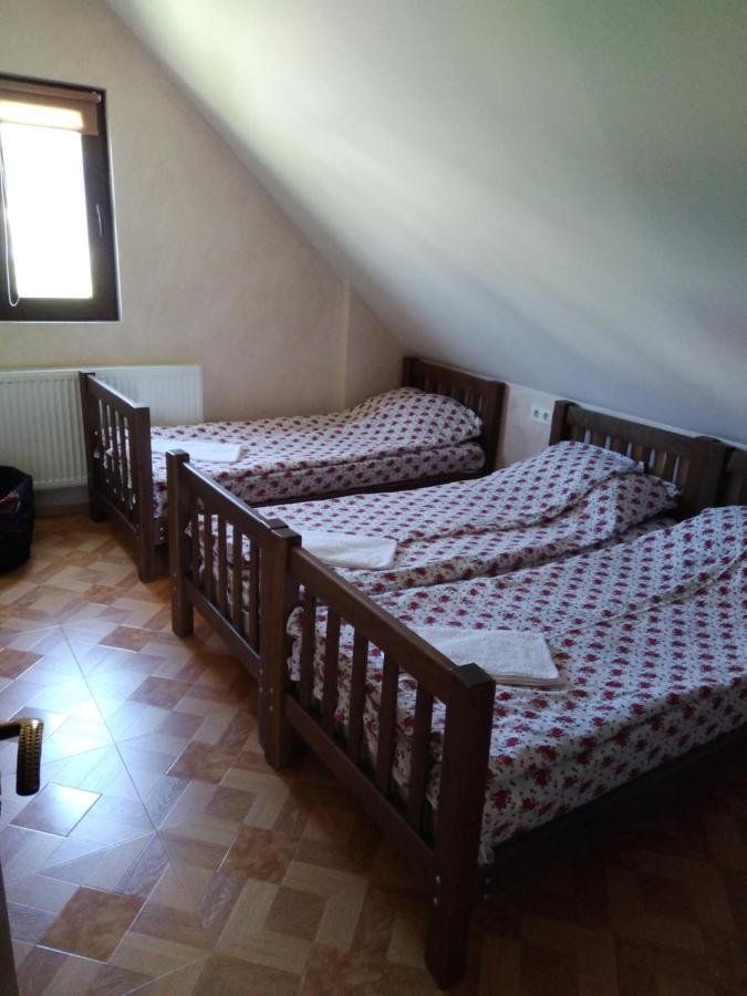 Family Hotel Mtamta Гудаури Экстерьер фото