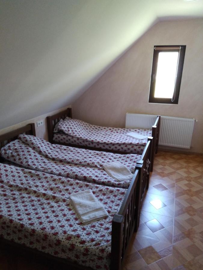 Family Hotel Mtamta Гудаури Экстерьер фото